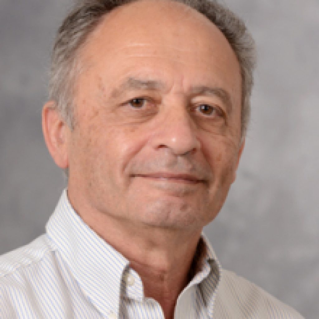 David Milstein, Ph. D.