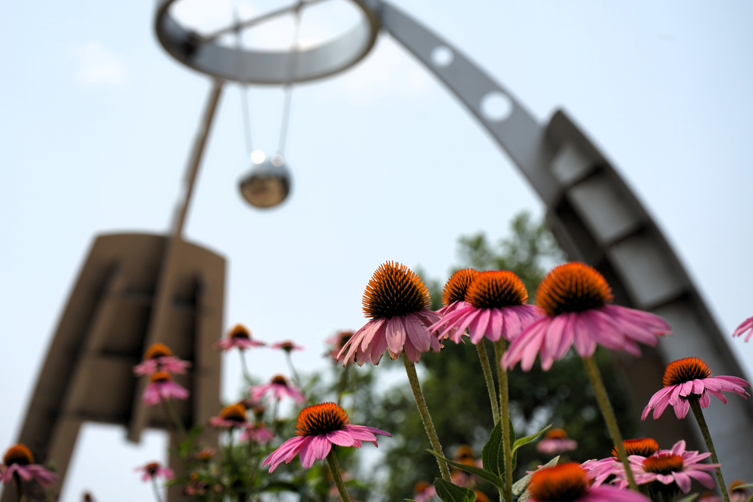 Photo of CSU Newton sculpture with flowers