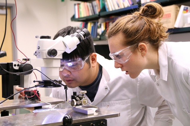Students of UO using lab equipment.